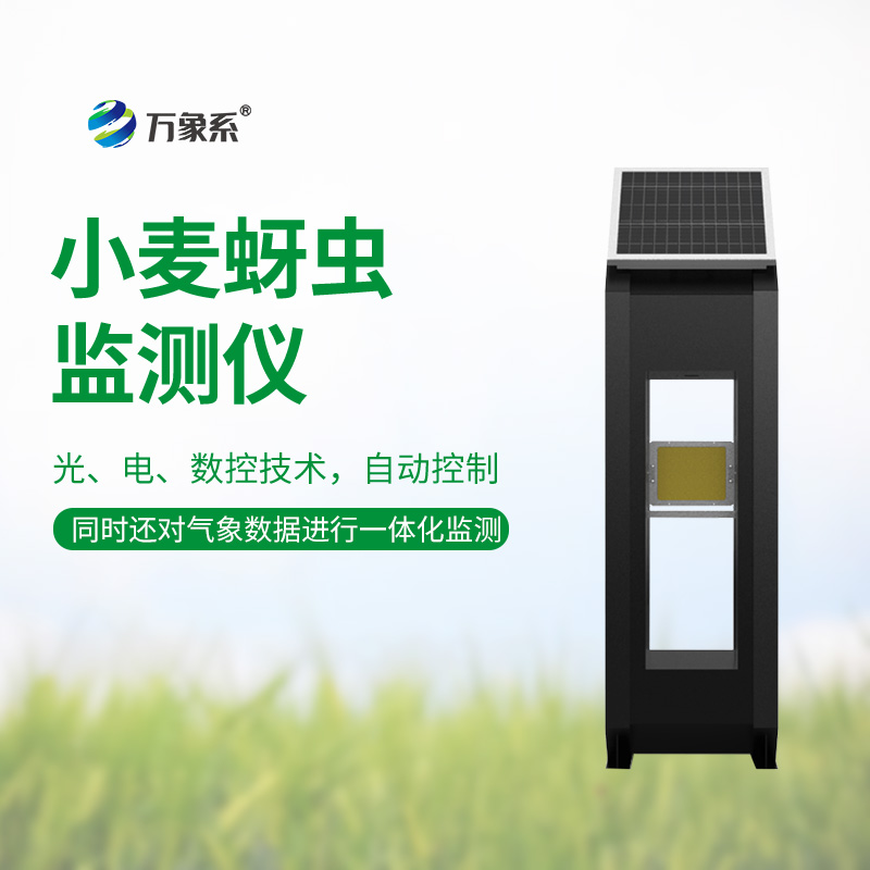 小麦蚜虫监测仪