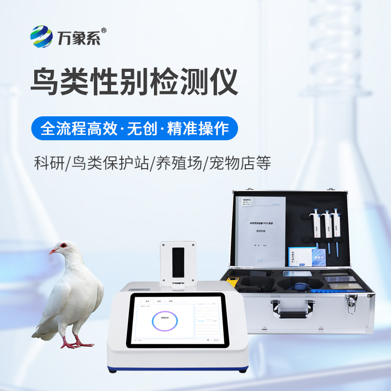 鸽子公母检测仪：无损甄别鸽群，助力养鸽产业科学繁育